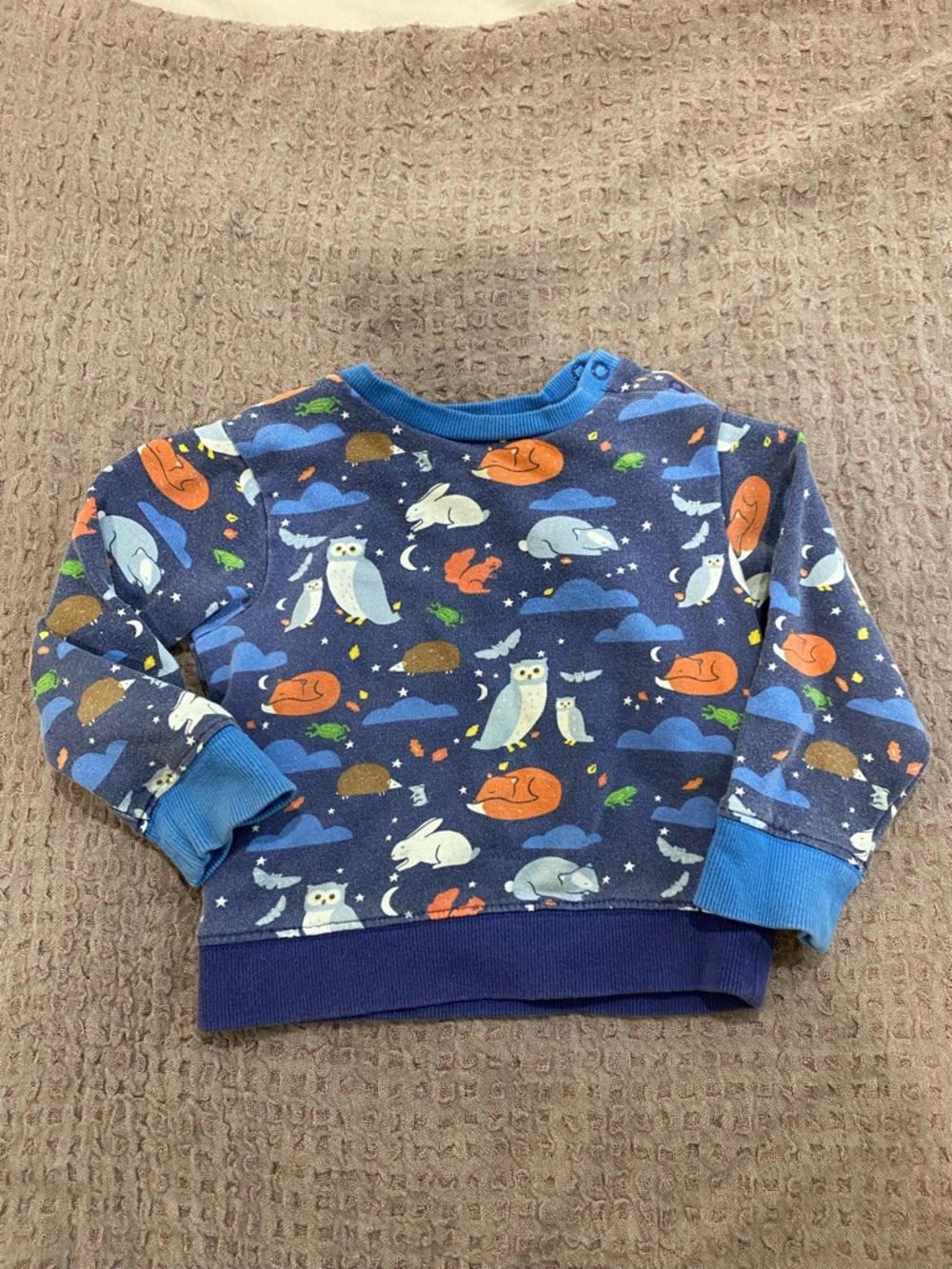 Eddie Bauer Navy Blue Animal Print Pullover Sweatshirt with Bright Accents
